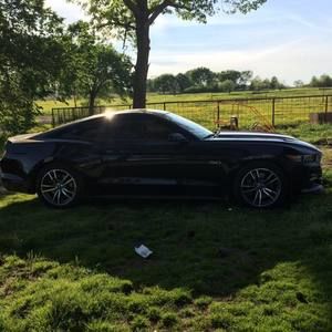 Meet your Posher, Erick